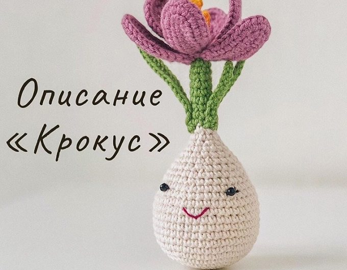 Вязаный крючком крокус