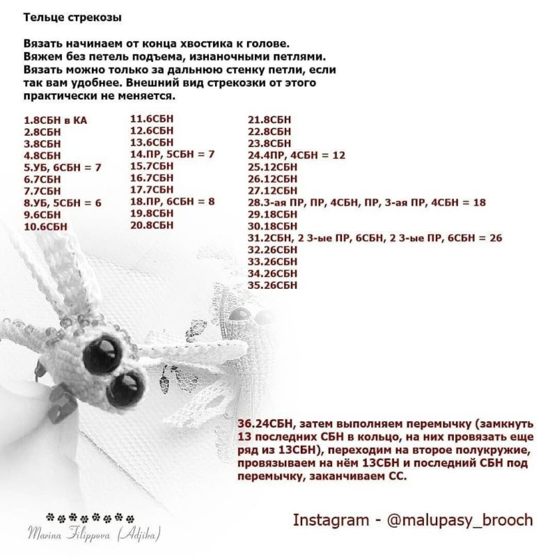 Схема тела стрекозы