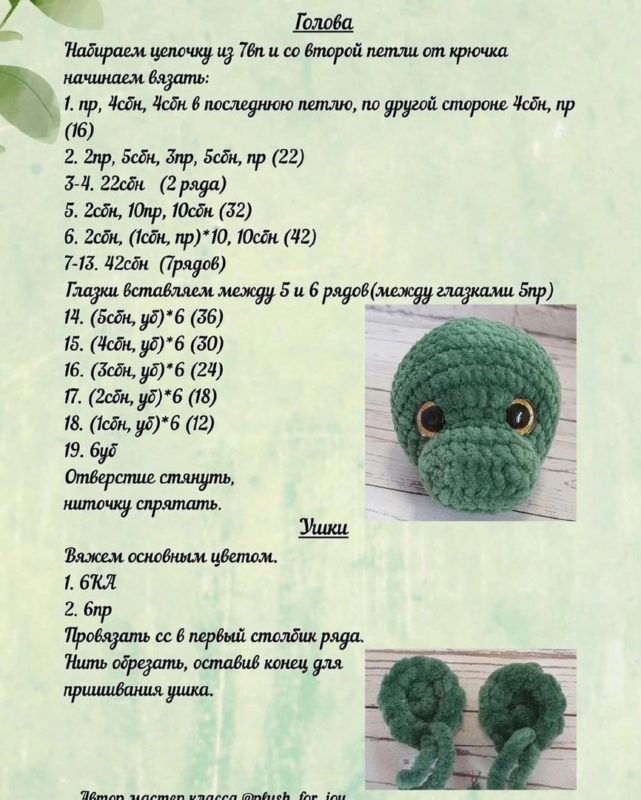 Голова и уши