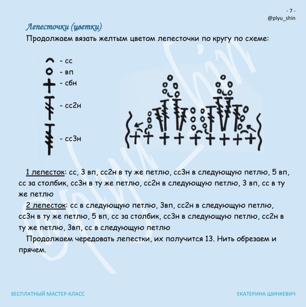 Лепестки цветка Лепестки цветка