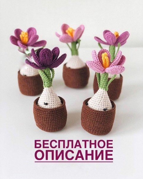 Схема вязания крюком цветка крокуса с луковицей в горшочке Схема вязания крюком цветка крокуса с луковицей в горшочке