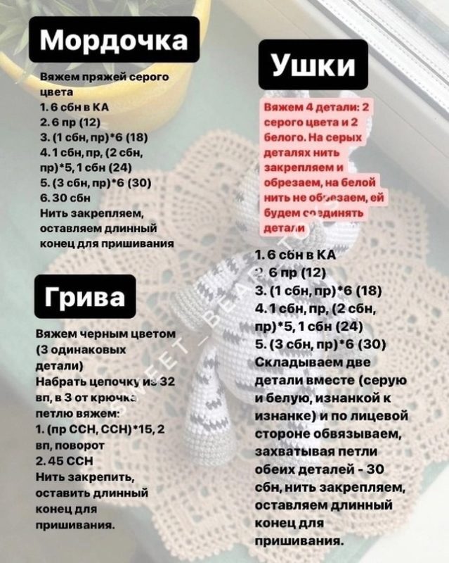 Мордочка Мордочка