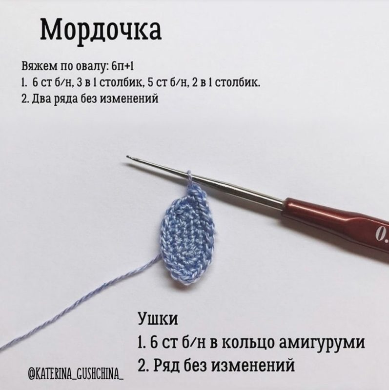 Мордочка Мордочка