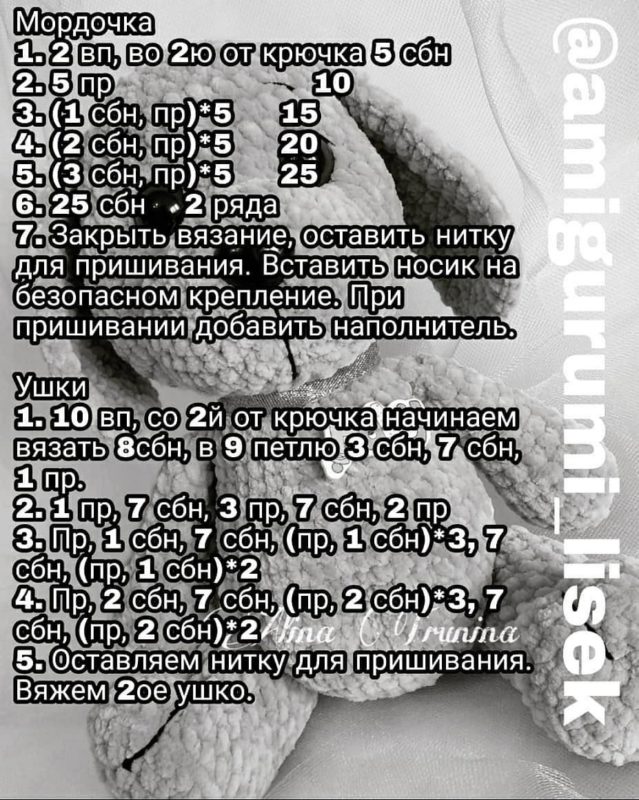Мордочка