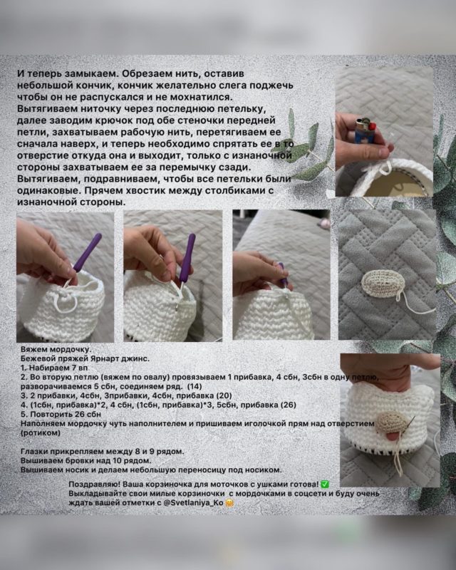 Мордочка Мордочка