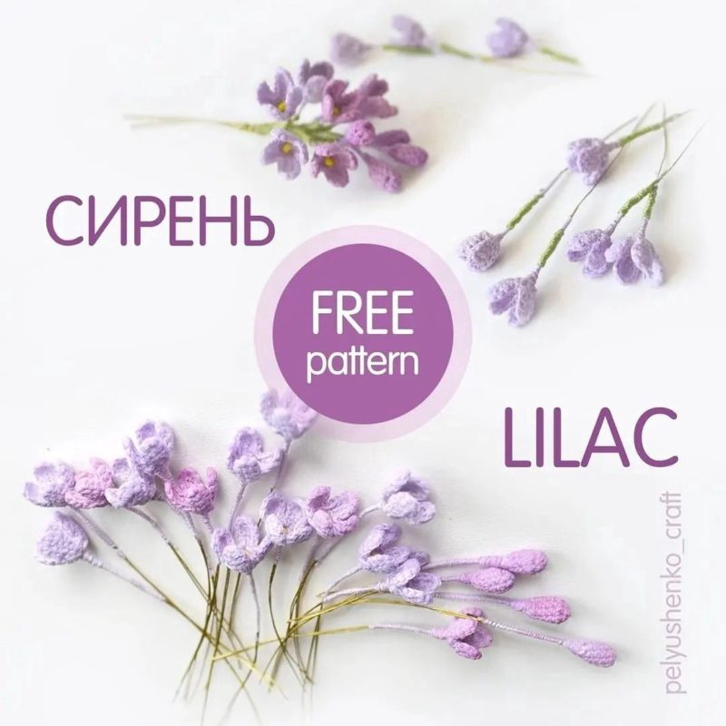 Сирень крючком Сирень крючком схема и описание